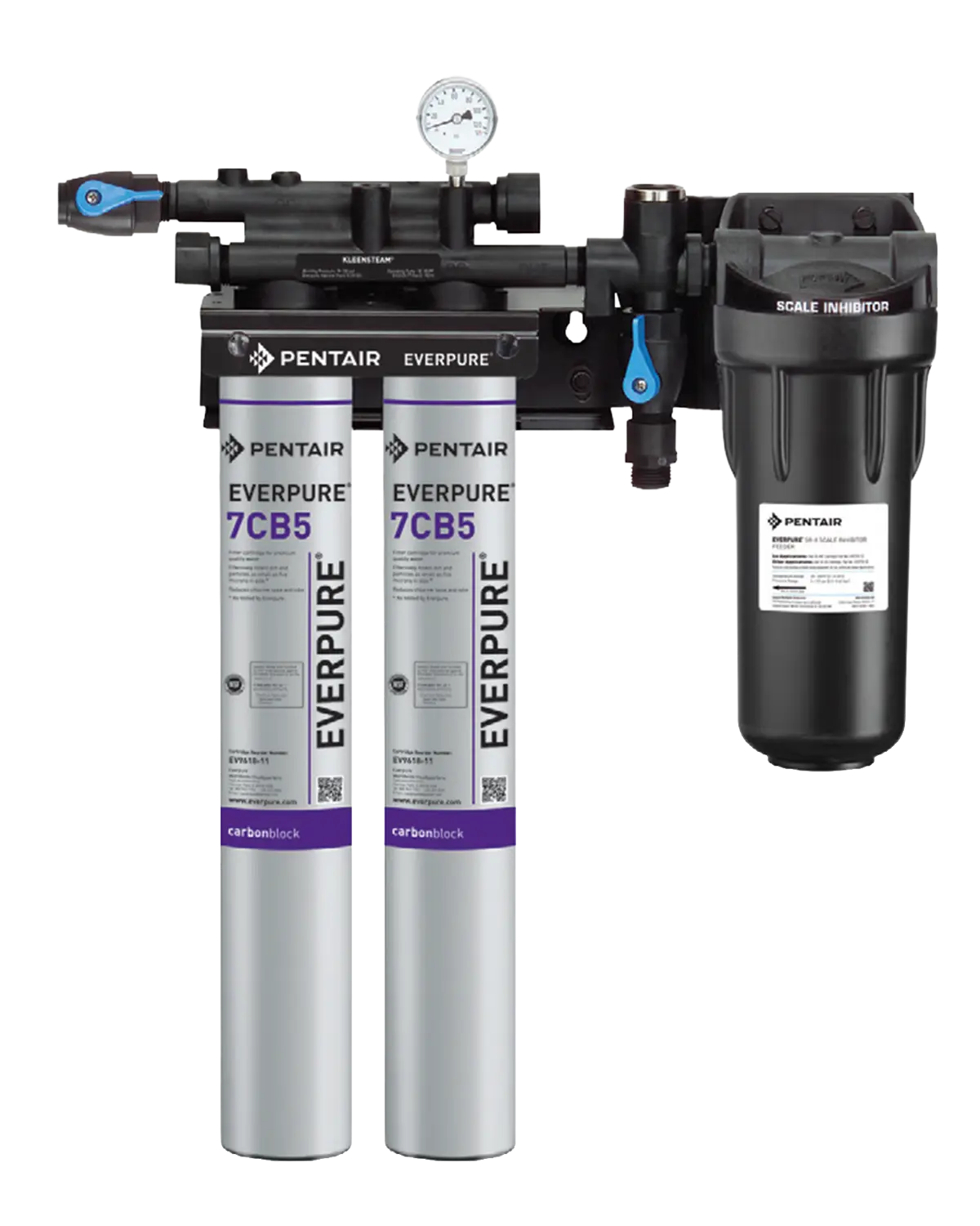 Everpure Kleensteam Twin