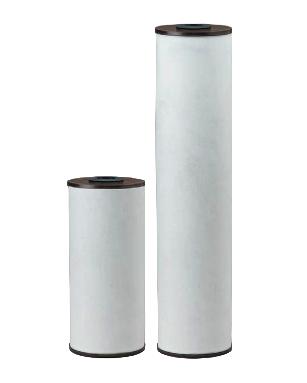 Pentek RFFE10-BB & RFFE20-BB Radial Flow Iron Reduction Cartridges